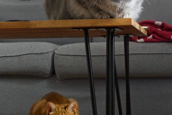 Hope & Socket